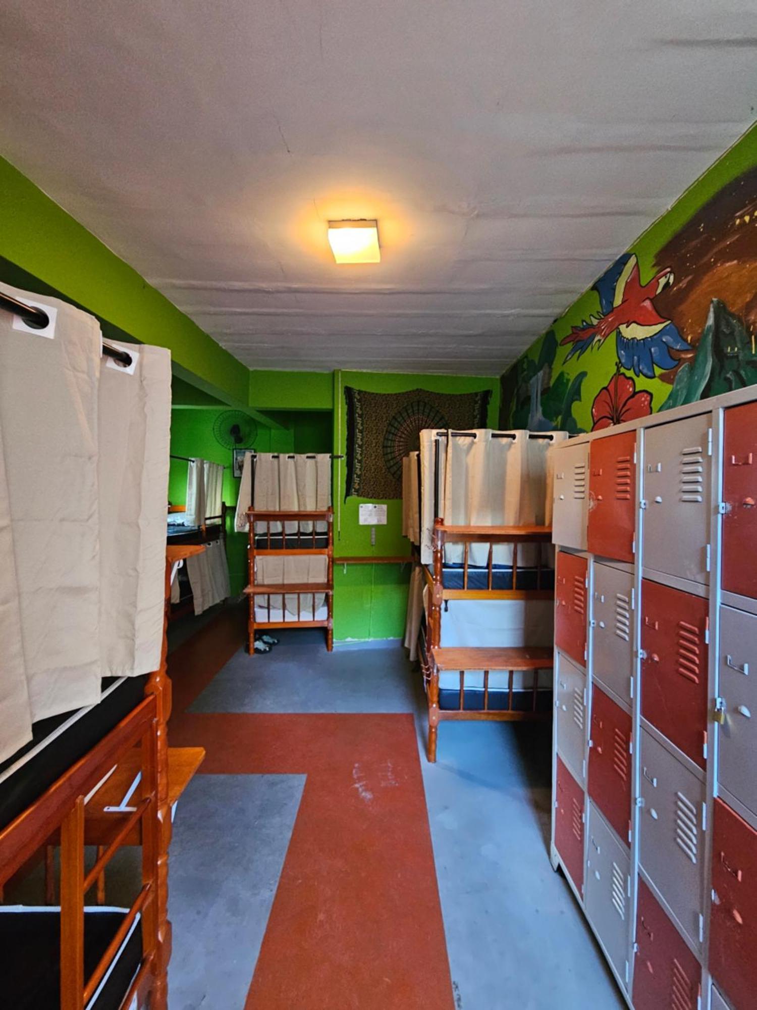 Bunk Bed Mixed Dormitory Room,1740002209:JPEG